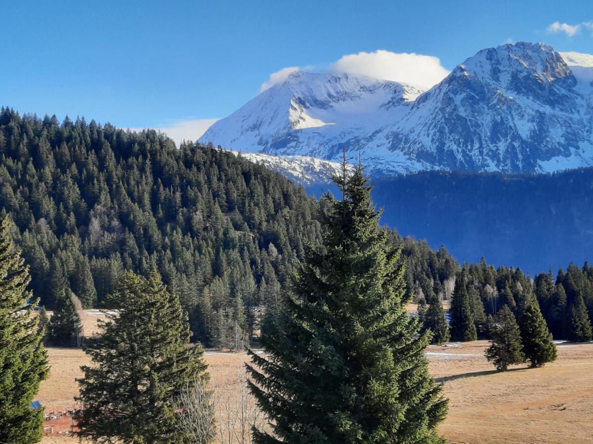 La Petite Foret Chamrousse 1700 Экстерьер фото