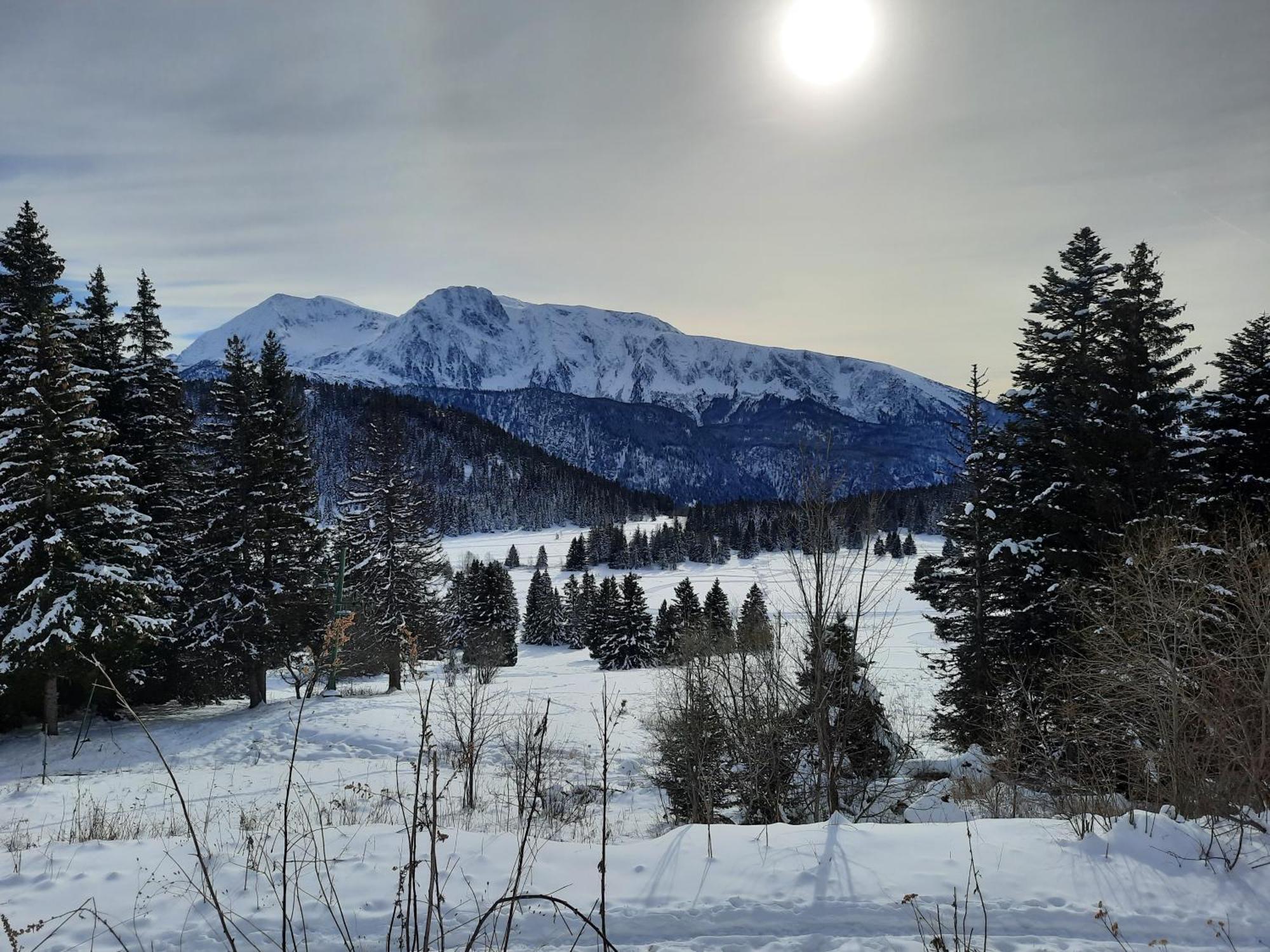 La Petite Foret Chamrousse 1700 Экстерьер фото