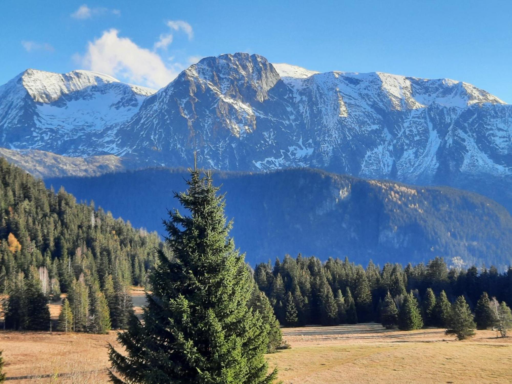 La Petite Foret Chamrousse 1700 Экстерьер фото